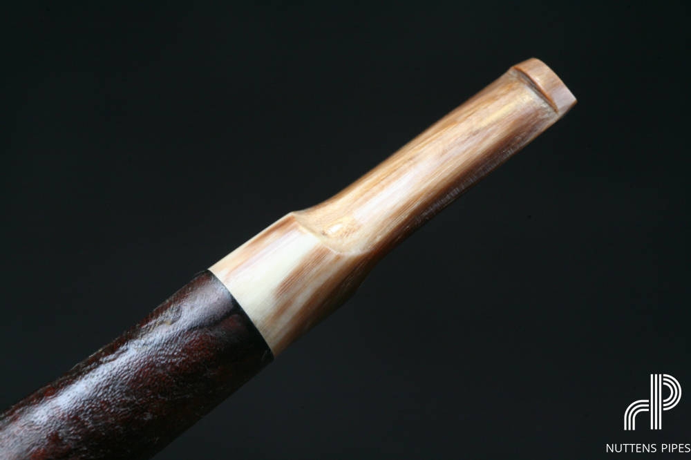 apple horn stem #2