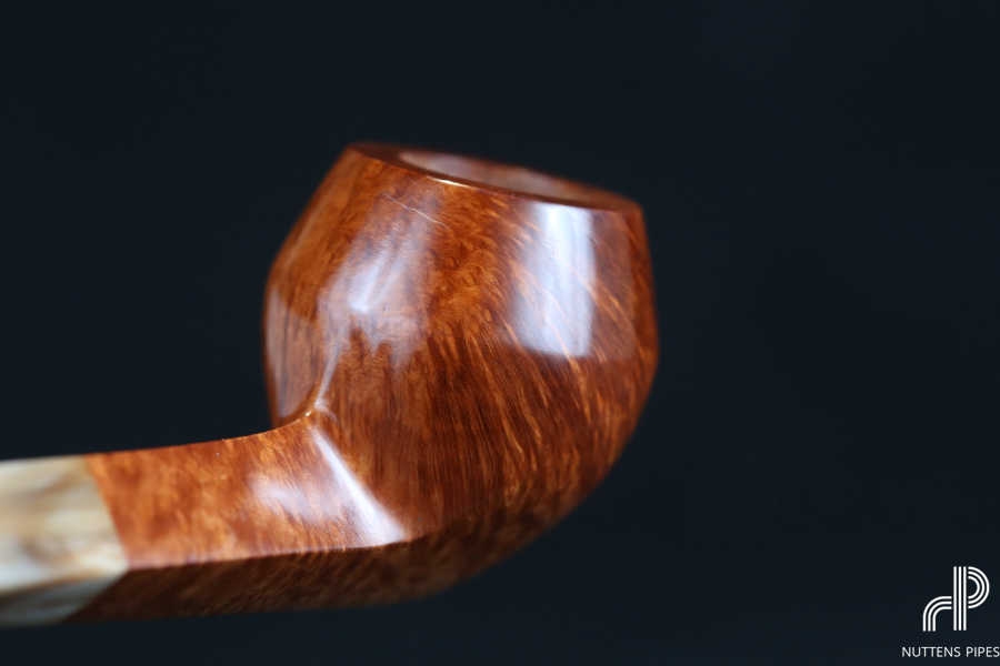 bulldog smooth horn grade 1