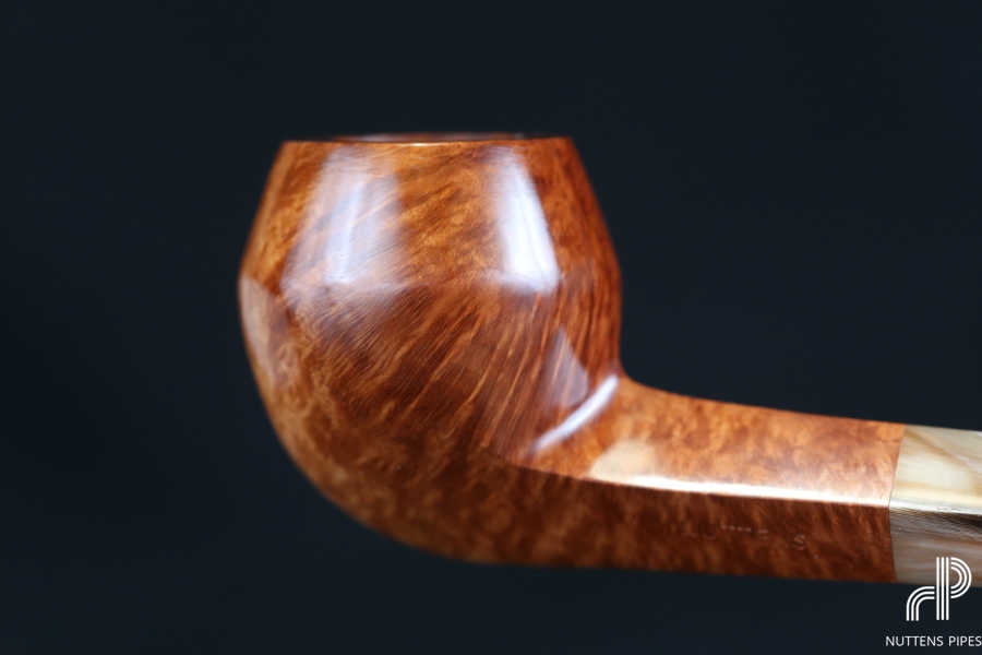 bulldog smooth horn grade 1