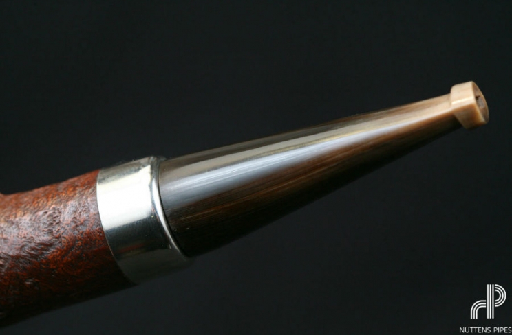 rhodesian panelled horn #1