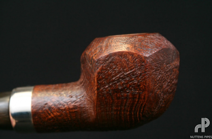 rhodesian panelled horn #1