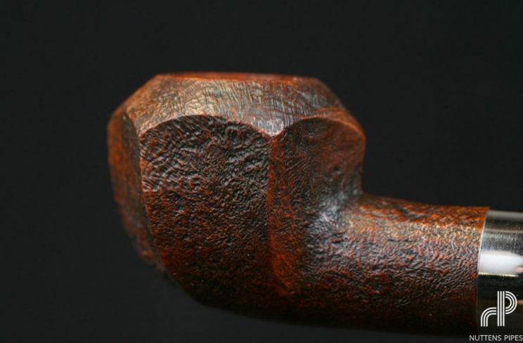 rhosedian panel brule-gueule corne #4