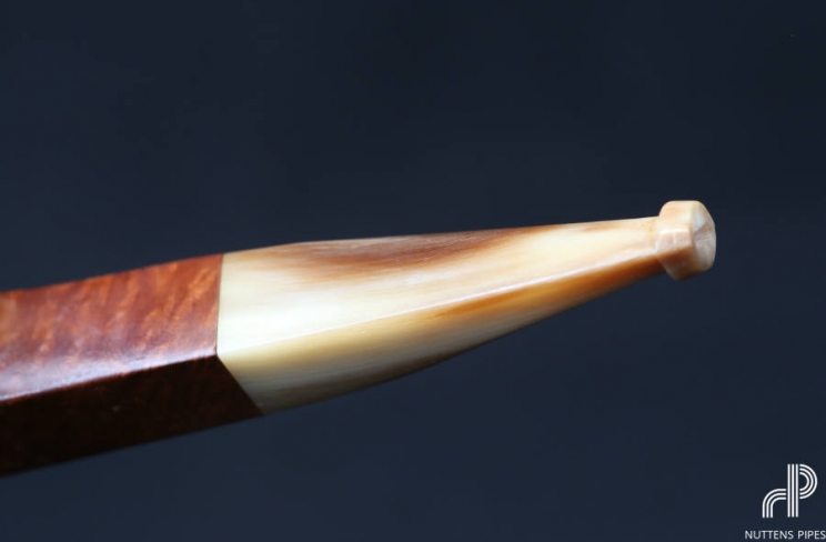 bulldog  straight grain horn