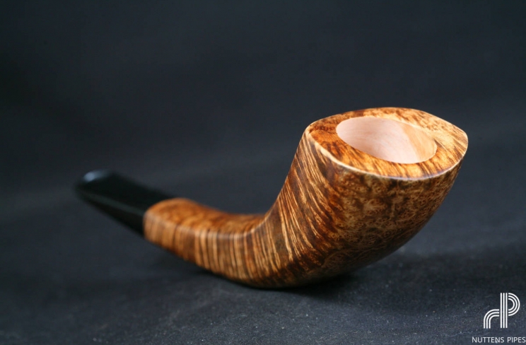 horn acrylic birdseye