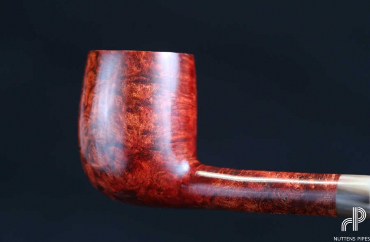 bing horn #1