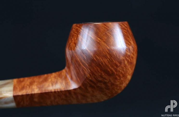 bulldog smooth horn grade 1