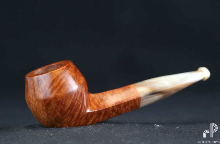 bulldog smooth horn grade 1