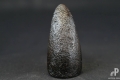 elephant foot black